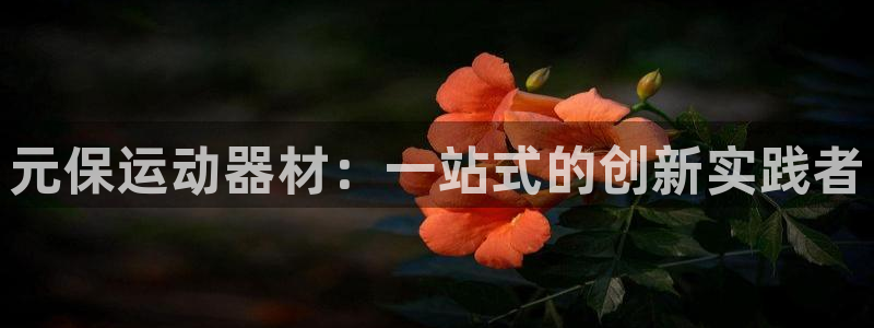 征途国际集团官网首页
