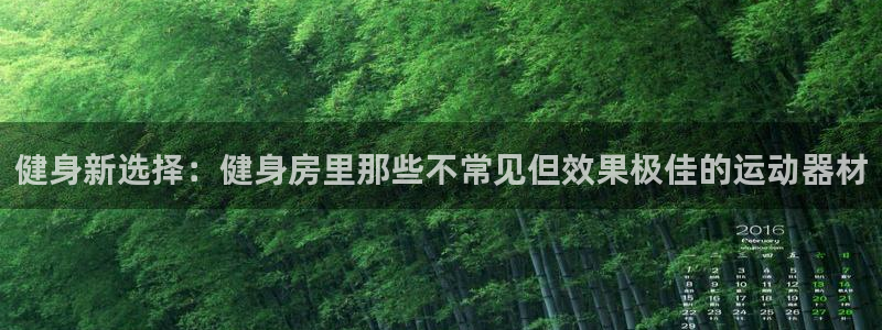 征途国际平台注册要钱吗是真的吗：健身新选择：健身房里那些不常