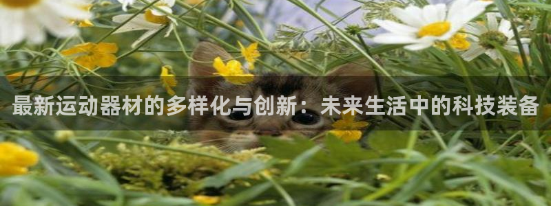 征途国际科技
