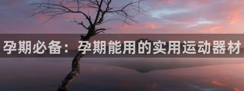 征途国际集团官网网址：孕期必备：孕期能用的实用运动器