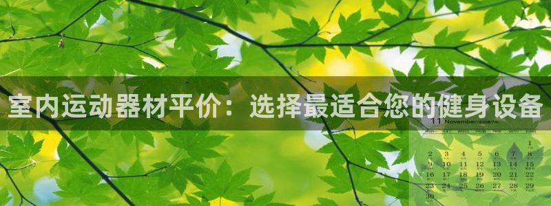 征途国际集团E.ON：室内运动器材平价：选择最适合您