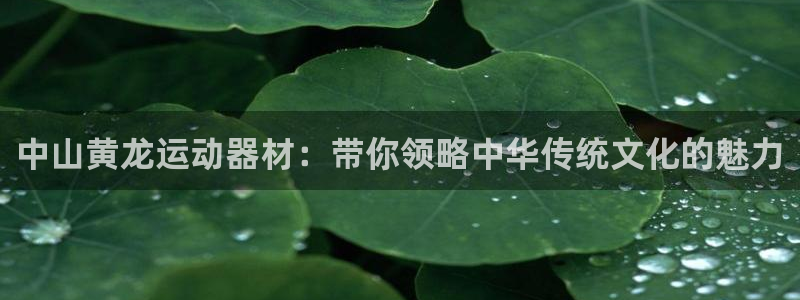 征途国际注册：中山黄龙运动器材：带你领略中华传统文化的魅力