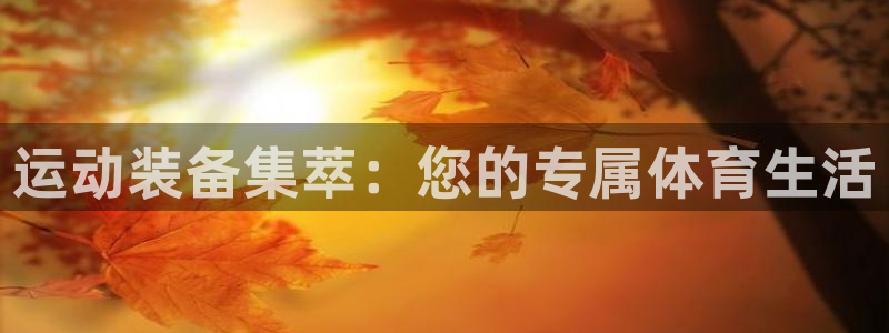 征途国际招商电话：运动装备集萃：您的专属体育生活