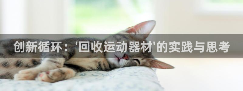 征途国际娱乐首页网站大全：创新循环：\'回收运动器材
