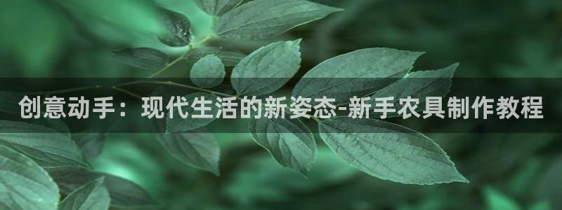 征途国际联系电话：创意动手：现代生活的新姿态-新手农具制作教