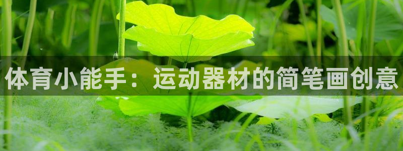 征途国际招商电话号码查询是多少：体育小能手：运动器材