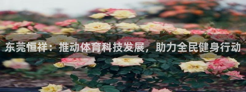 征途国际官网：东莞恒祥：推动体育科技发展，助力全民健