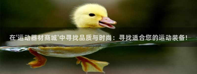 征途国际是干嘛的公司：在\'运动器材商城\'中寻找品质与时尚