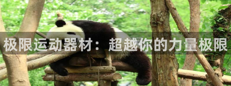 征途国际招商电话号码：极限运动器材：超越你的力量极限